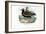 Plover, 1863-79-Raimundo Petraroja-Framed Giclee Print