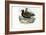 Plover, 1863-79-Raimundo Petraroja-Framed Giclee Print