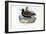 Plover, 1863-79-Raimundo Petraroja-Framed Giclee Print