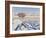 Plowed Field and Willows in Winter, Bear River Range, Cache Valley, Great Basin, Utah, USA-Scott T. Smith-Framed Photographic Print