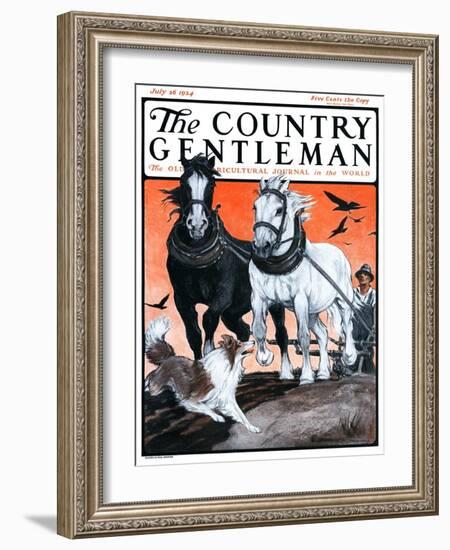 "Plowing the Field," Country Gentleman Cover, July 26, 1924-Paul Bransom-Framed Giclee Print