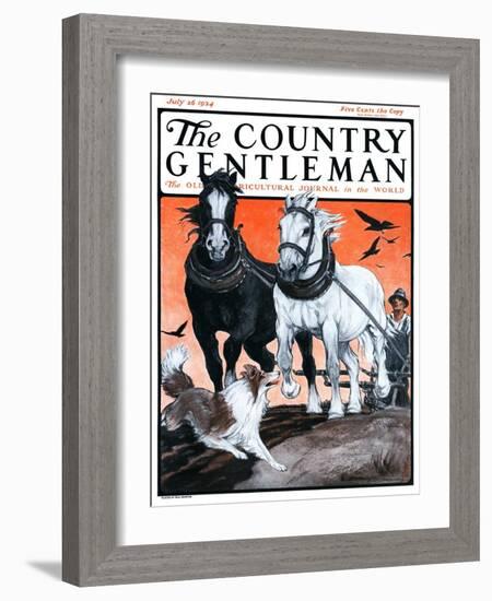 "Plowing the Field," Country Gentleman Cover, July 26, 1924-Paul Bransom-Framed Giclee Print