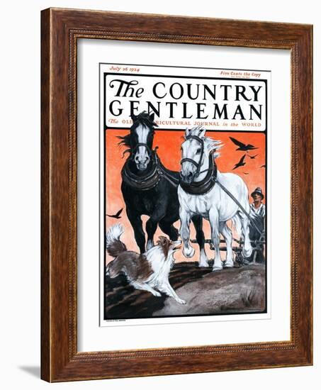 "Plowing the Field," Country Gentleman Cover, July 26, 1924-Paul Bransom-Framed Giclee Print