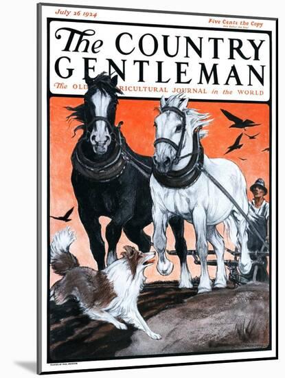 "Plowing the Field," Country Gentleman Cover, July 26, 1924-Paul Bransom-Mounted Giclee Print