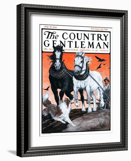 "Plowing the Field," Country Gentleman Cover, July 26, 1924-Paul Bransom-Framed Giclee Print