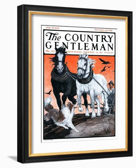 "Plowing the Field," Country Gentleman Cover, July 26, 1924-Paul Bransom-Framed Giclee Print