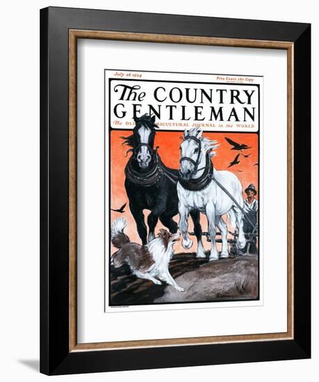 "Plowing the Field," Country Gentleman Cover, July 26, 1924-Paul Bransom-Framed Giclee Print