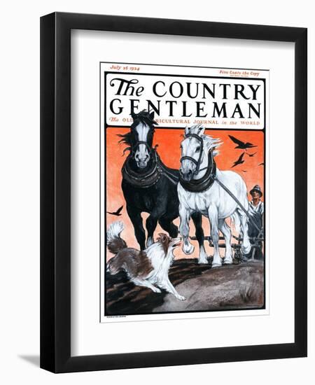 "Plowing the Field," Country Gentleman Cover, July 26, 1924-Paul Bransom-Framed Giclee Print