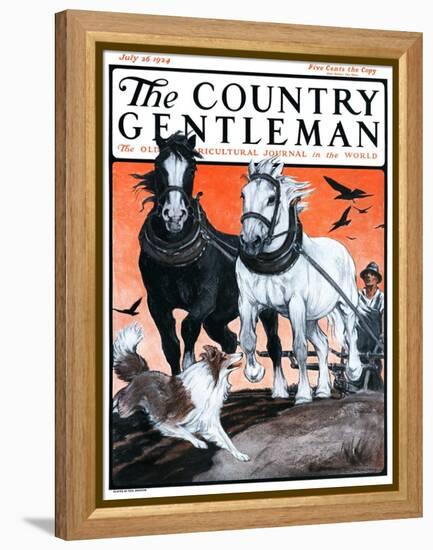 "Plowing the Field," Country Gentleman Cover, July 26, 1924-Paul Bransom-Framed Premier Image Canvas