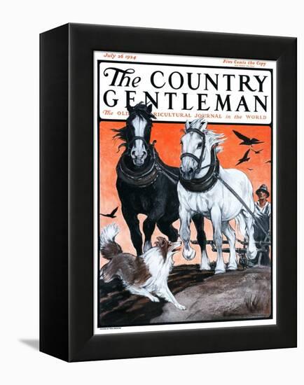 "Plowing the Field," Country Gentleman Cover, July 26, 1924-Paul Bransom-Framed Premier Image Canvas