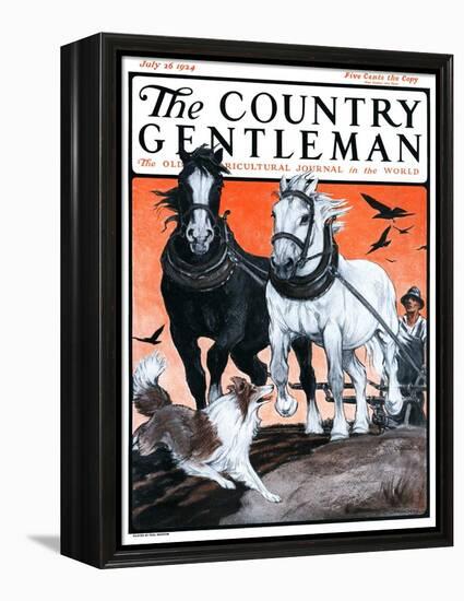 "Plowing the Field," Country Gentleman Cover, July 26, 1924-Paul Bransom-Framed Premier Image Canvas