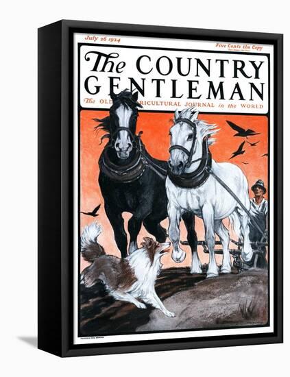 "Plowing the Field," Country Gentleman Cover, July 26, 1924-Paul Bransom-Framed Premier Image Canvas