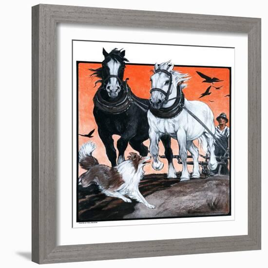 "Plowing the Field,"July 26, 1924-Paul Bransom-Framed Giclee Print