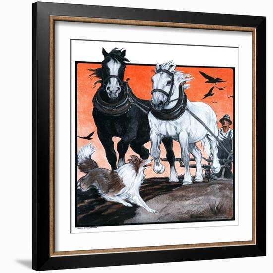 "Plowing the Field,"July 26, 1924-Paul Bransom-Framed Giclee Print