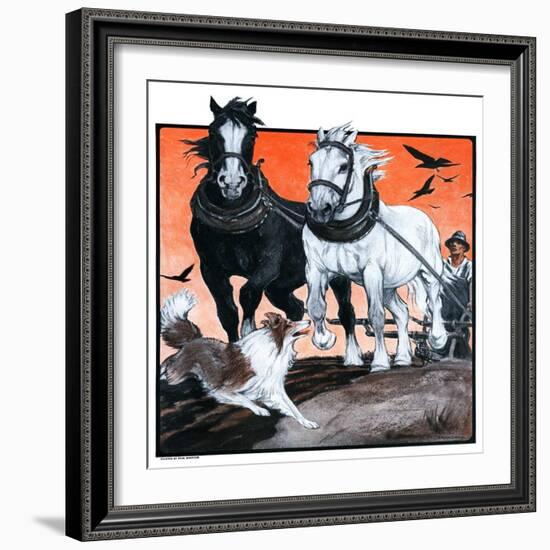 "Plowing the Field,"July 26, 1924-Paul Bransom-Framed Giclee Print