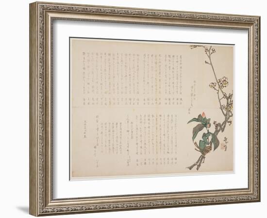 Plum and Camellia Branches, 1829-Nagayama K?choku-Framed Giclee Print