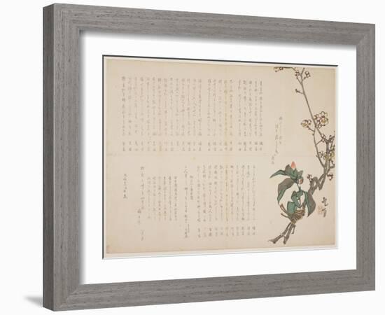 Plum and Camellia Branches, 1829-Nagayama K?choku-Framed Giclee Print