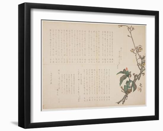 Plum and Camellia Branches, 1829-Nagayama K?choku-Framed Giclee Print