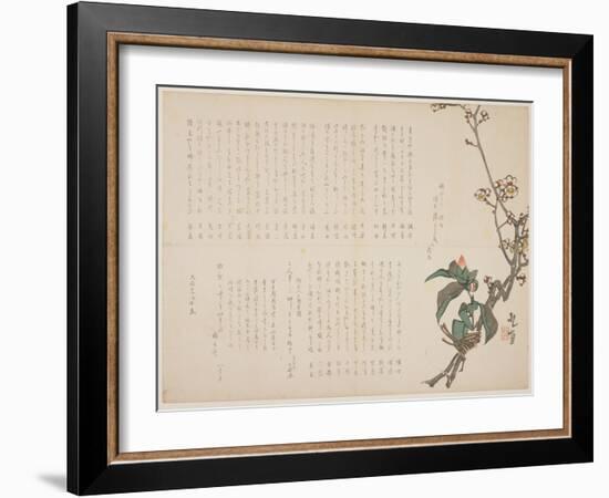 Plum and Camellia Branches, 1829-Nagayama K?choku-Framed Giclee Print