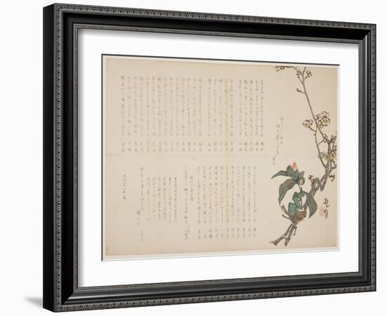 Plum and Camellia Branches, 1829-Nagayama K?choku-Framed Giclee Print