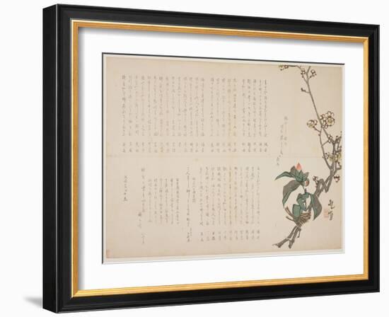 Plum and Camellia Branches, 1829-Nagayama K?choku-Framed Giclee Print