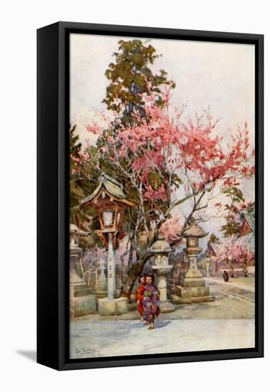 Plum Blossom and Lanterns-Ella Du Cane-Framed Premier Image Canvas