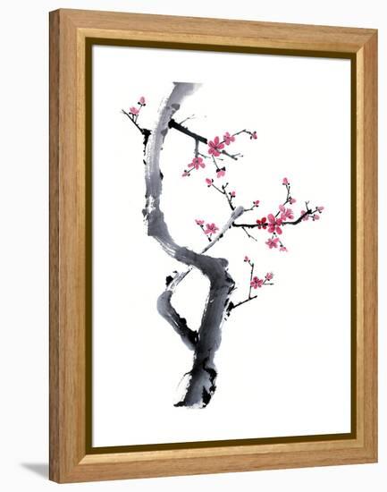 Plum Blossom Branch I-Nan Rae-Framed Stretched Canvas