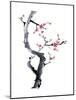 Plum Blossom Branch I-Nan Rae-Mounted Art Print