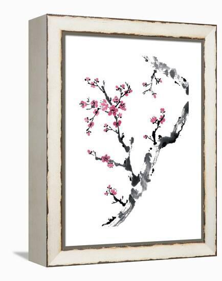 Plum Blossom Branch II-Nan Rae-Framed Stretched Canvas