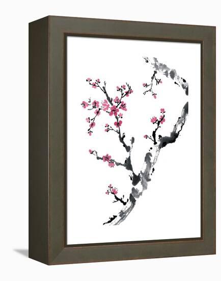 Plum Blossom Branch II-Nan Rae-Framed Stretched Canvas