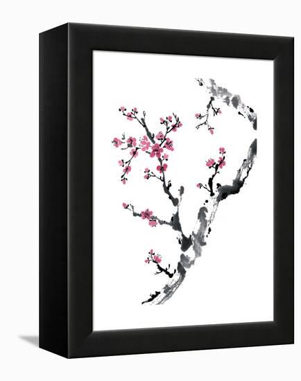 Plum Blossom Branch II-Nan Rae-Framed Stretched Canvas