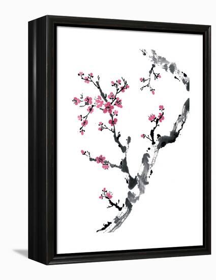 Plum Blossom Branch II-Nan Rae-Framed Stretched Canvas