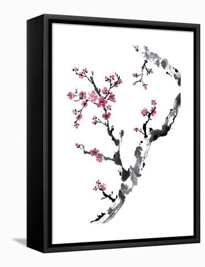 Plum Blossom Branch II-Nan Rae-Framed Stretched Canvas