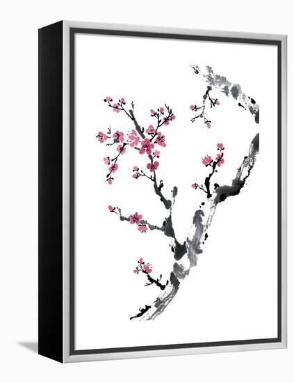 Plum Blossom Branch II-Nan Rae-Framed Stretched Canvas