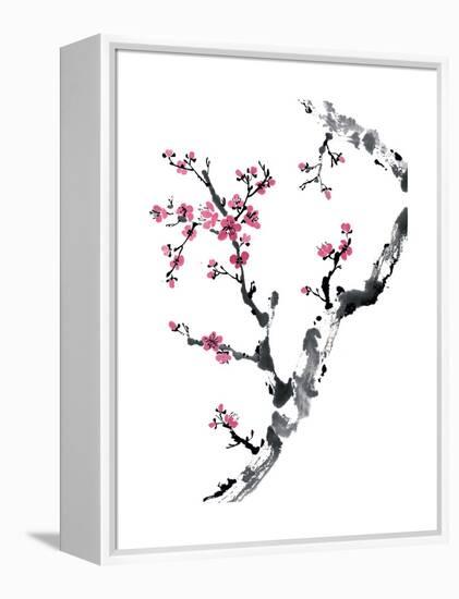 Plum Blossom Branch II-Nan Rae-Framed Stretched Canvas