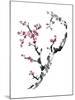 Plum Blossom Branch II-Nan Rae-Mounted Art Print