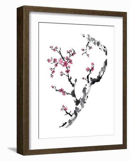 Plum Blossom Branch II-Nan Rae-Framed Art Print