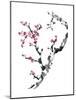 Plum Blossom Branch II-Nan Rae-Mounted Art Print