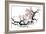 Plum Blossom Branch III-Nan Rae-Framed Premium Giclee Print