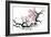 Plum Blossom Branch III-Nan Rae-Framed Premium Giclee Print