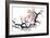 Plum Blossom Branch III-Nan Rae-Framed Art Print