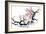 Plum Blossom Branch III-Nan Rae-Framed Art Print