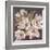 Plum Blossoms 1-Jurgen Gottschlag-Framed Art Print