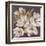 Plum Blossoms 1-Jurgen Gottschlag-Framed Art Print