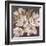 Plum Blossoms 1-Jurgen Gottschlag-Framed Art Print