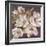 Plum Blossoms 1-Jurgen Gottschlag-Framed Art Print