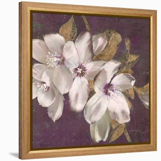 Plum Blossoms 2-Jurgen Gottschlag-Framed Stretched Canvas