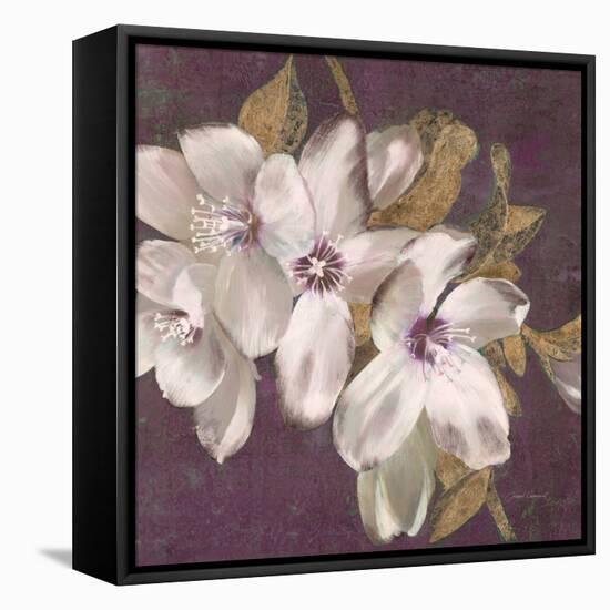 Plum Blossoms 2-Jurgen Gottschlag-Framed Stretched Canvas
