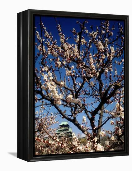 Plum Blossoms & Osaka Castle, Japan-null-Framed Premier Image Canvas