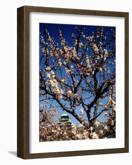 Plum Blossoms & Osaka Castle, Japan-null-Framed Photographic Print